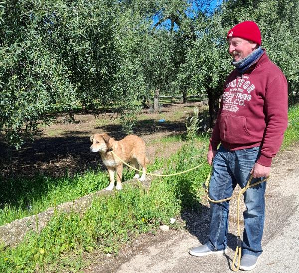 Magma cucciola timida in adozione Foto 6